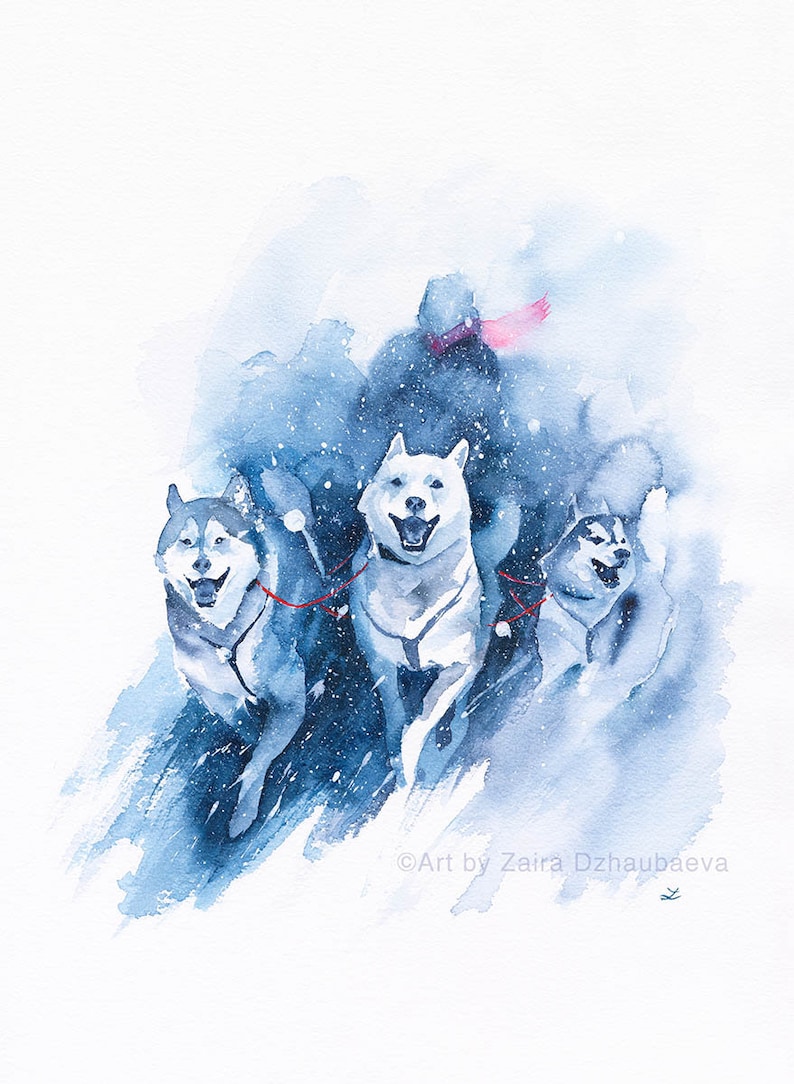 Sled Dogs Print Siberian Husky Mush Mushing Musher Dog Sport Samoyed Alaskan Malamute Chinook Watercolor Art Arctic Nunavut Winter Racing image 1