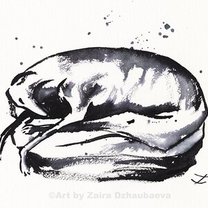 Sleeping Sighthound Original Ink Drawing Greyhound Art Galgo Resting Dog Greyhound Mom Dad Parent Greyhounds Valentines Mothers Day Art Gift