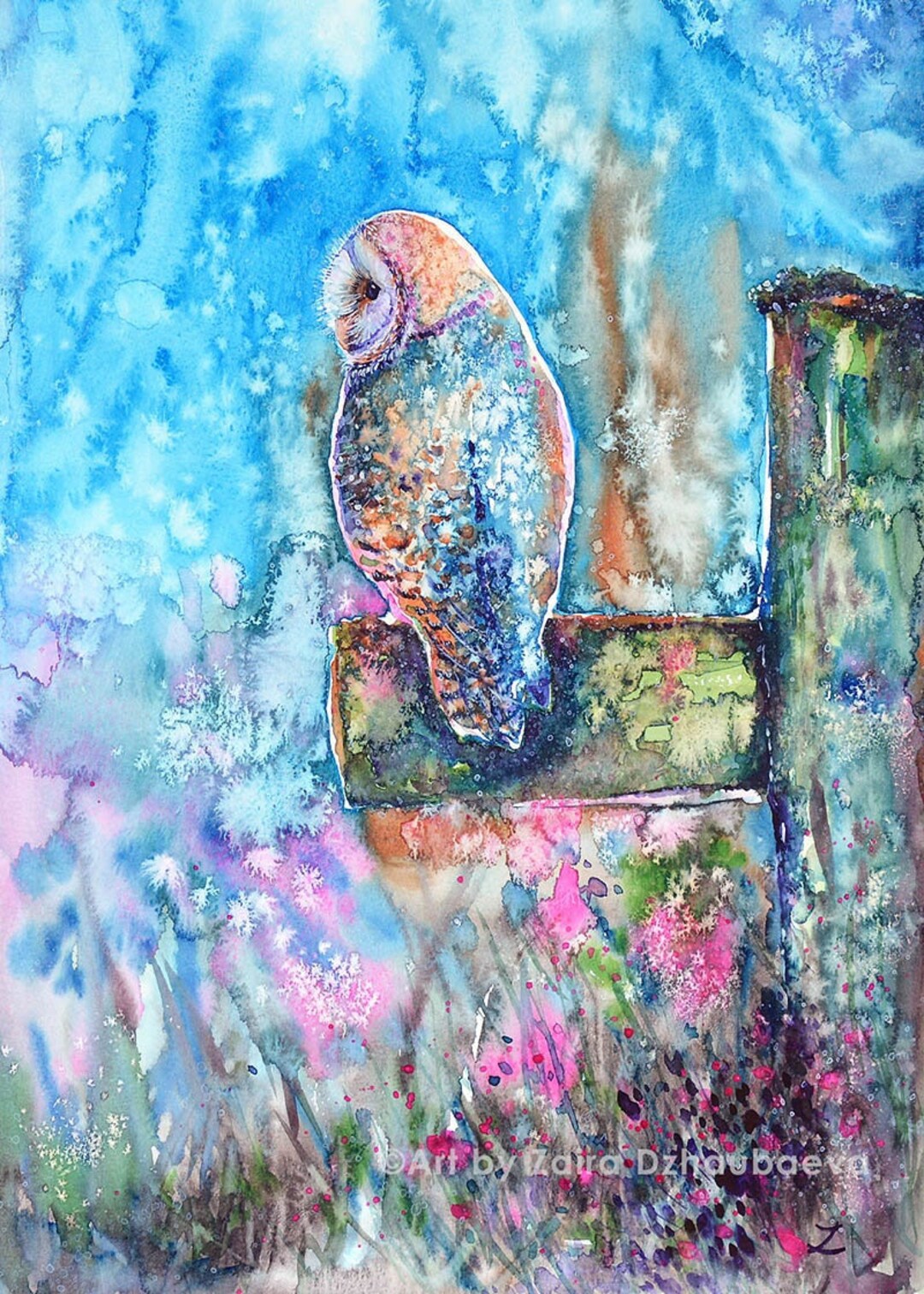 Colorful Barn Owl 5 X 7" Art Print Birds of Prey Owls Wildflowers Fence ...