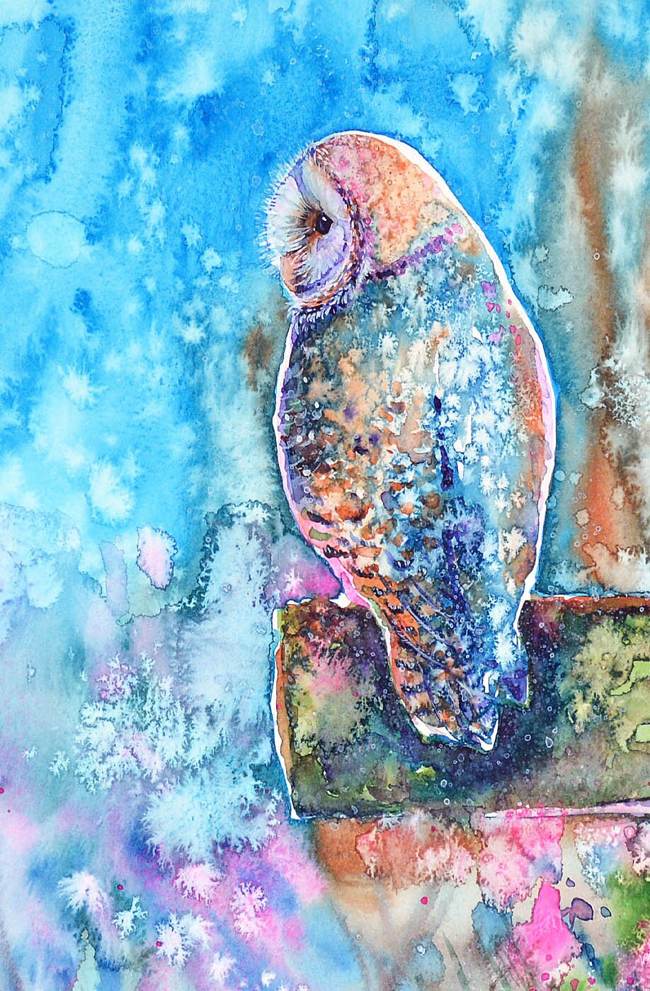 Colorful Barn Owl 5 X 7" Art Print Birds of Prey Owls Wildflowers Fence ...