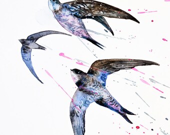 Swifts オリジナル水彩画 飛んでいる鳥 壁アート ペイント 飛沫 空