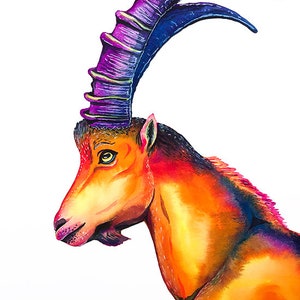 Alpine Ibex Wall Art Print Colorful Animals Watercolor Wild Goat Wildlife Orange Blue Purple Capricorn Capra Steinbock Gifts for Hunters