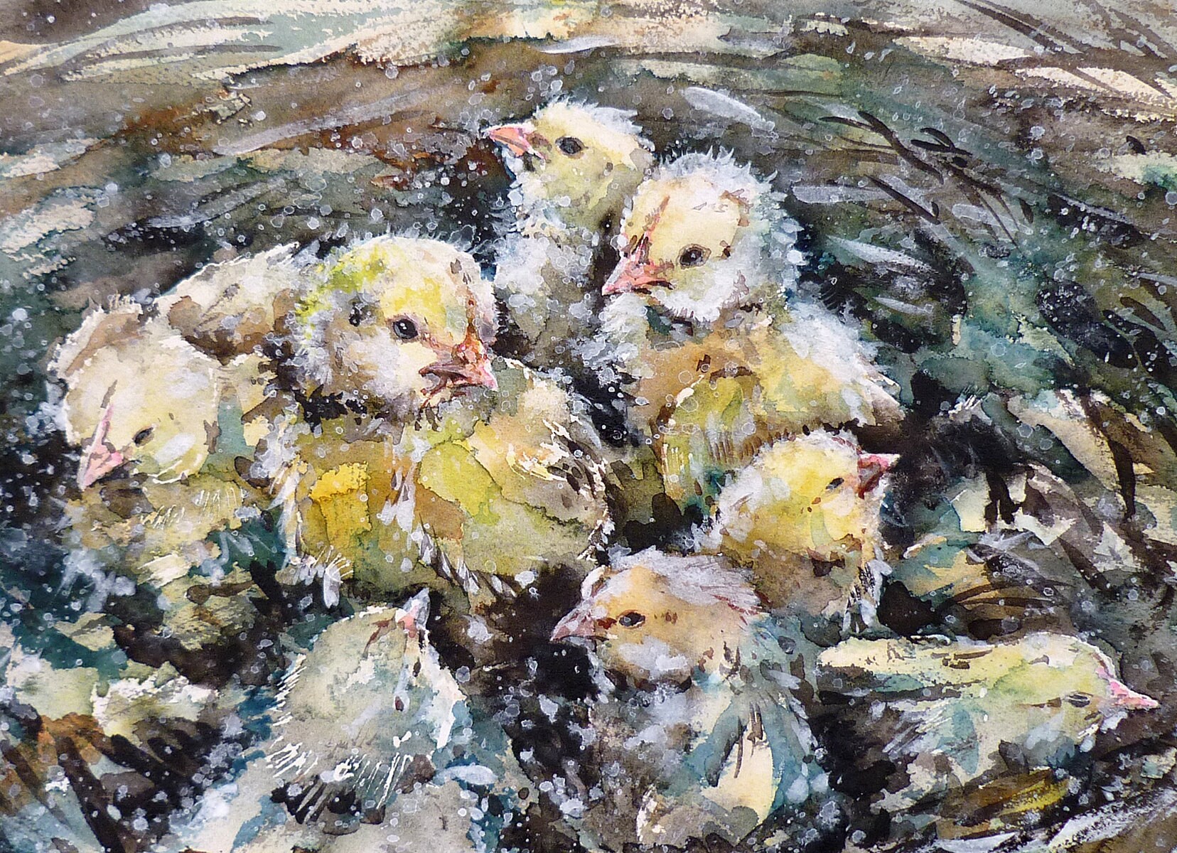 生まれたてのひよこの絵 オリジナル水彩画 鶏の巣 雌鶏 雄鶏 農場の鳥