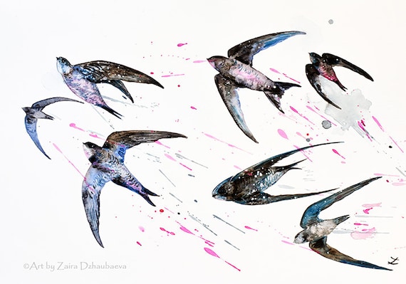 Swifts オリジナル水彩画 飛んでいる鳥 壁アート ペイント 飛沫 空