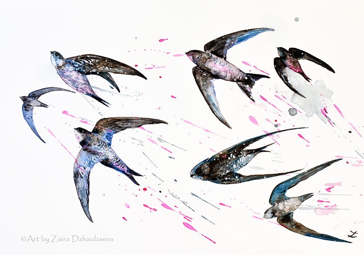 Swifts オリジナル水彩画 飛んでいる鳥 壁アート ペイント 飛沫 空