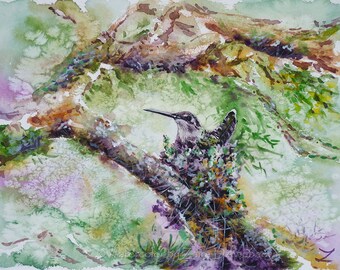 Colibrì nel nido Pittura ad acquerello originale Colibri Colibrì colorati Wall Art Uccellino Uccelli Natura Rami di albero Foglie