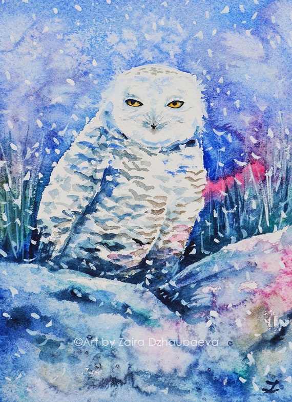 Illustration D'un Harfang Des Neiges Sur Une Branche Sur Fond Blanc 120x160 Cm Tirage Photo Sur Toile Animaux Sauvages Peintures Sur Toile Xxl Groot Format