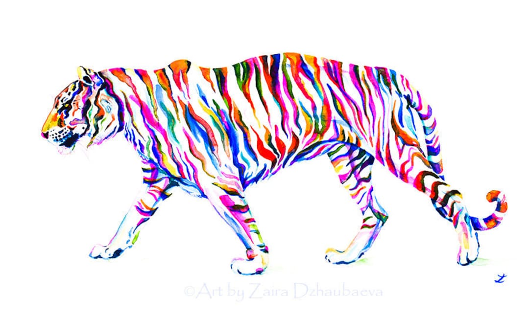 Tiger Line Art KDP Clipart Graphic by Zero2Century · Creative Fabrica