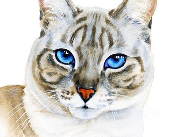 Smile　トランペットを持つ猫の絵 窓の上の猫 5 x 7 アートプリント リンクスポイント シャム猫