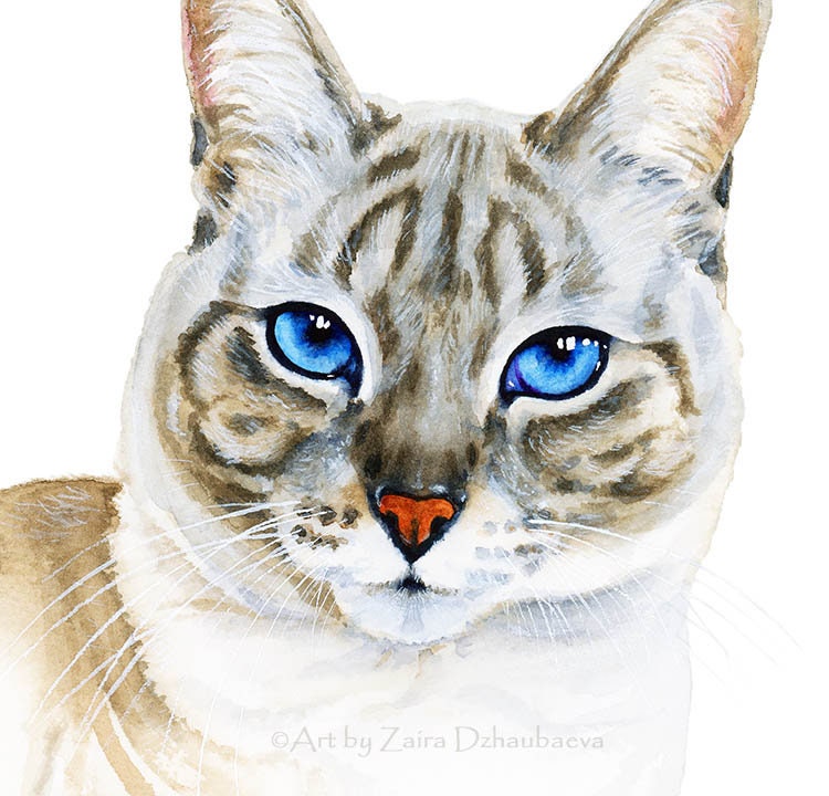 リンクスポイントシャム猫の肖像画 ウォールアートプリント