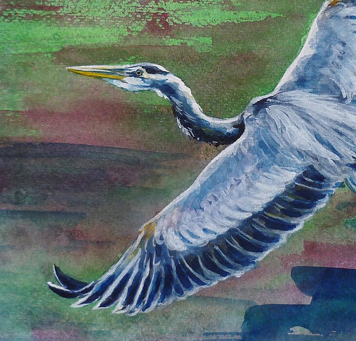 アオサギ油彩画 アオサギ」原画作品 – HERALBONY