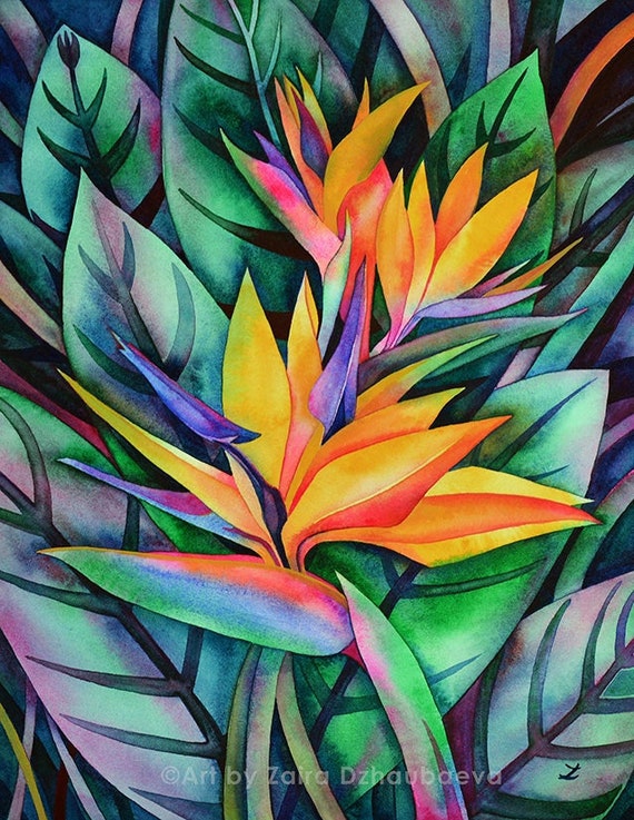 Stampa Su Tela Uccello Del Paradiso (Strelitzia) - 30x20 Cm - Quadro Moderno Senza Cornice, Pronto Da Appendere