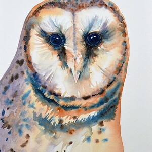 Barn Owl Original Watercolor Painting Owl Art Owls Bird of Prey Birds Wildlife Small Painting Owl Eyes Nature Forest Woods Pastel Colors Art