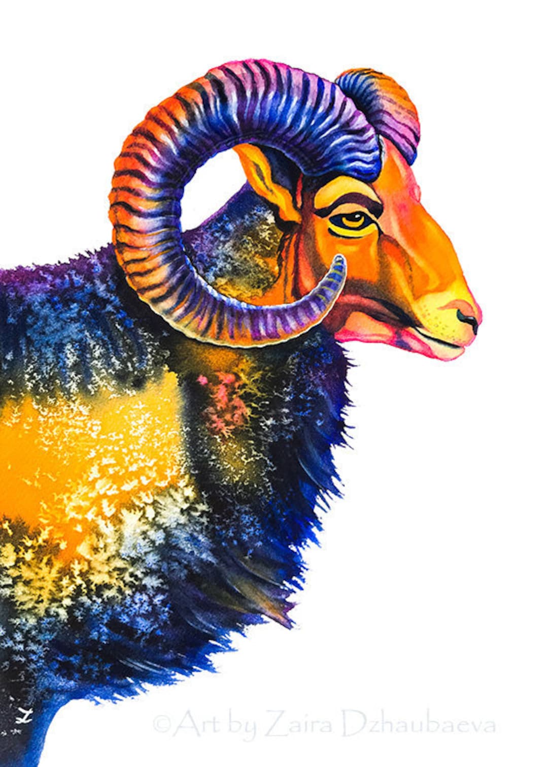 Mouflon Wall Art Print Ram Wild Sheep Watercolor Painting - Etsy