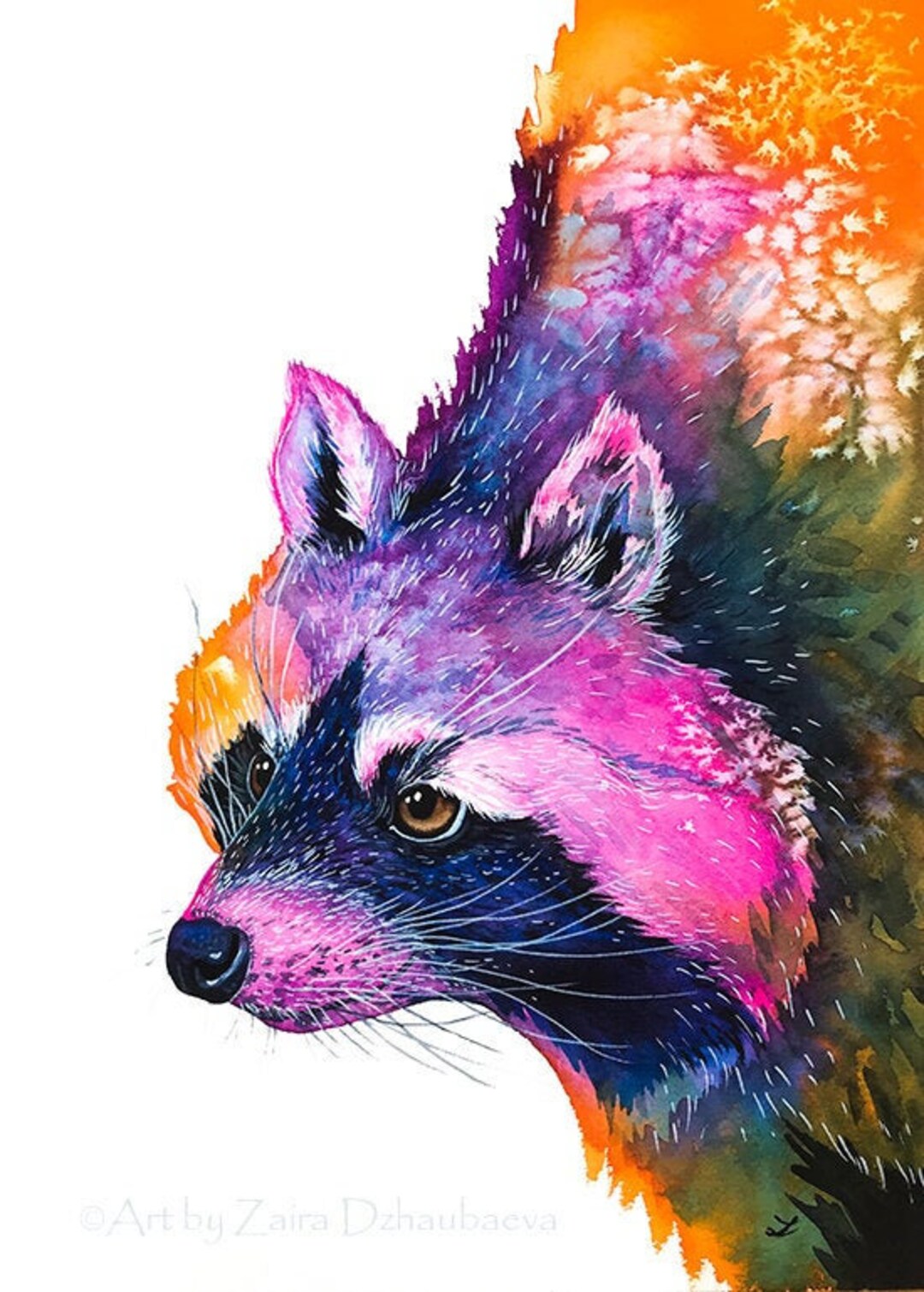 Colorful Raccoon Colorful Raccoon Wall Art Print Watercolor Painting Wild Animals ...