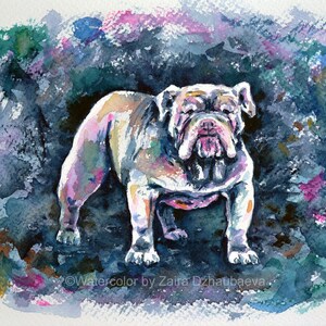 White Bulldog Original Watercolor Painting British Bulldog Portrait Pets Dogs English Bulldog Wall Art Dog Art Canine White Dog Cute Bulldog
