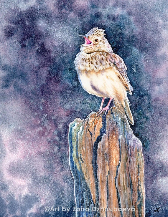 Singing Lark Bird Wall Art Print Crested Lark Songbird Wildlife