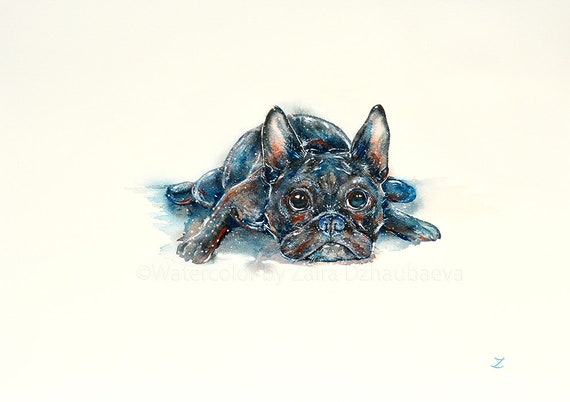 Wall eyed hotsell french bulldog