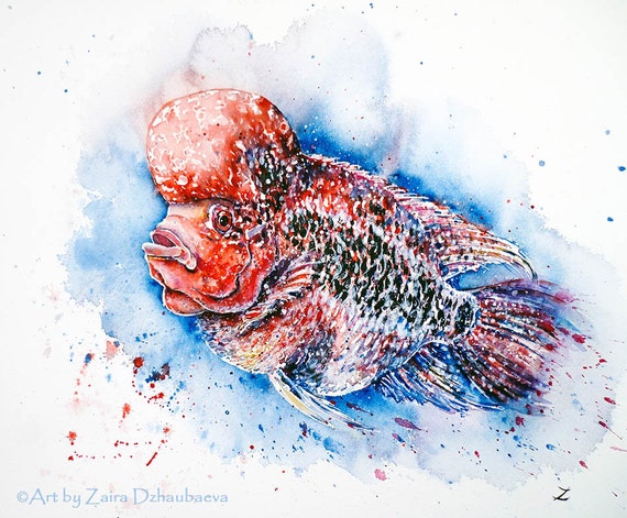 フラワーホーン魚のアートプリント 赤い魚の絵画 良い風水アート