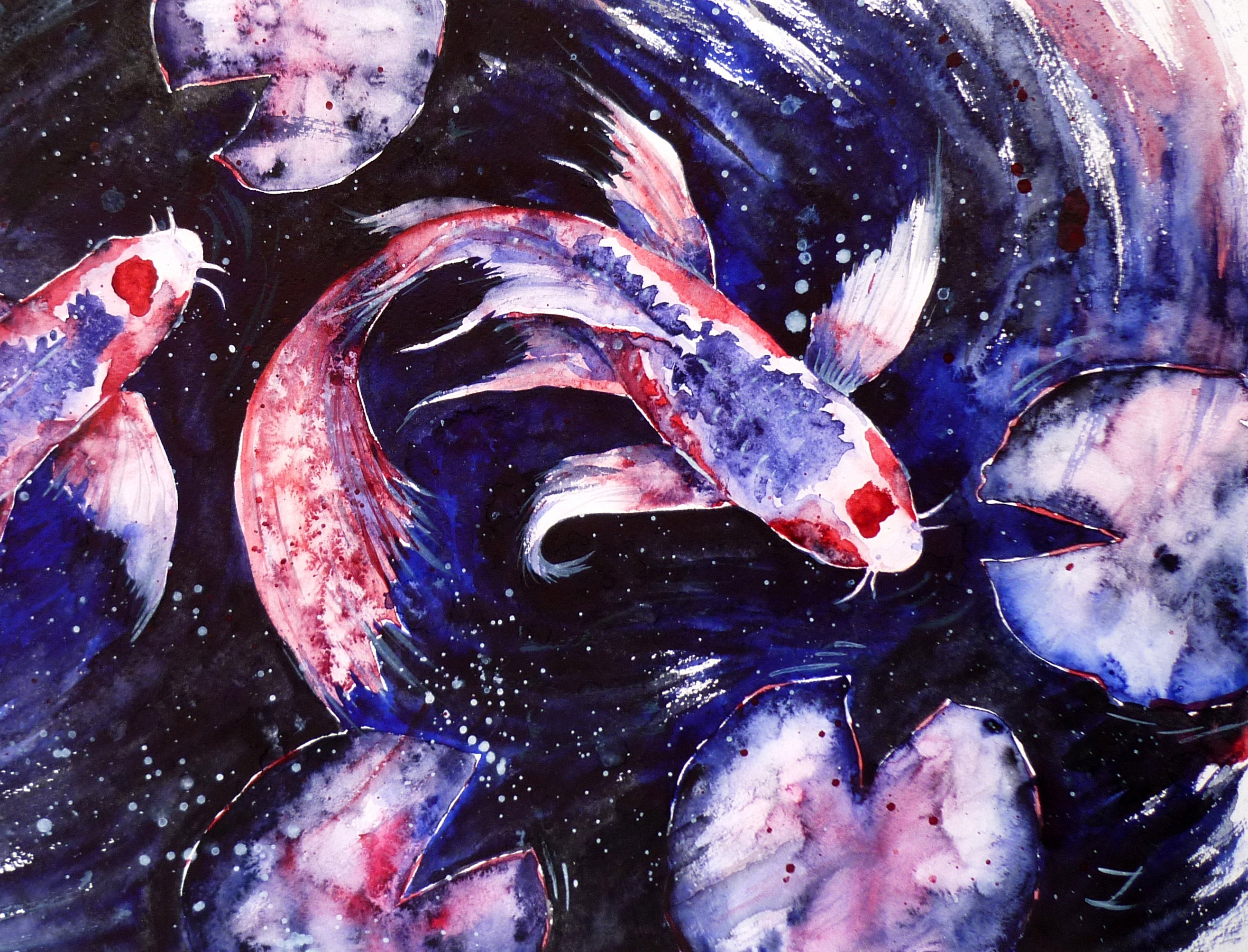 蝶の鯉の壁アートプリント水彩画の魚の鯉陰陽幸運の鯉愛の