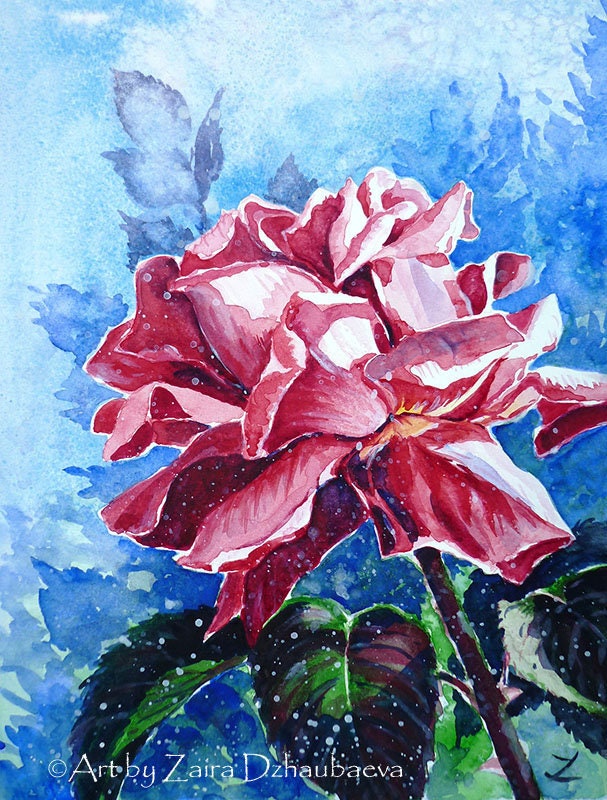 Pink Rose Flower Original Watercolor Painting Roses Floral Art Rose ...