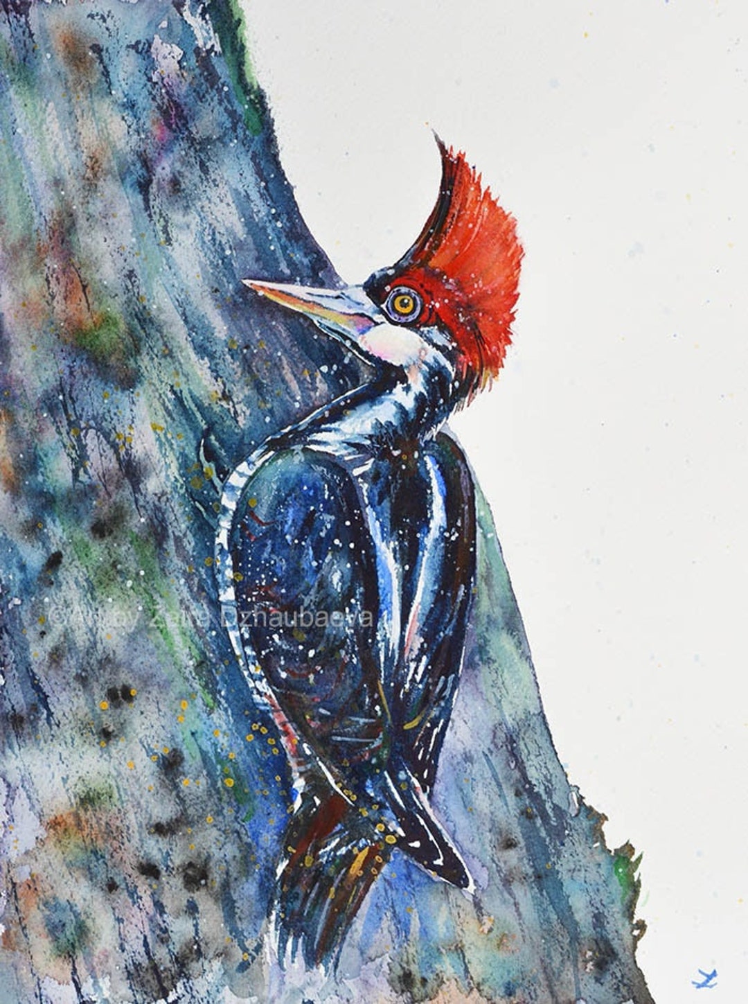 アカゲラ オリジナル水彩画 キツツキ 鳥 野生動物 森 鳥 木 森林 自然