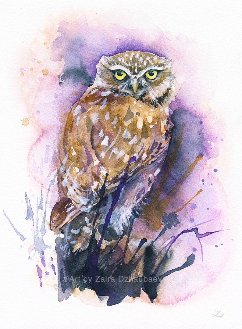 Washed Owl Burrowing Owl Original Watercolor Painting Birds of Prey Athene ...