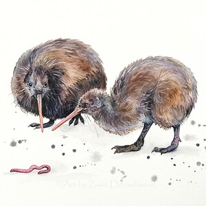 Kiwi Birds Art Print Early Bird Watercolor Painting Funny Cute Birds Flightless Birds Earthworm New Zealand Wildlife Nature Illustration Art