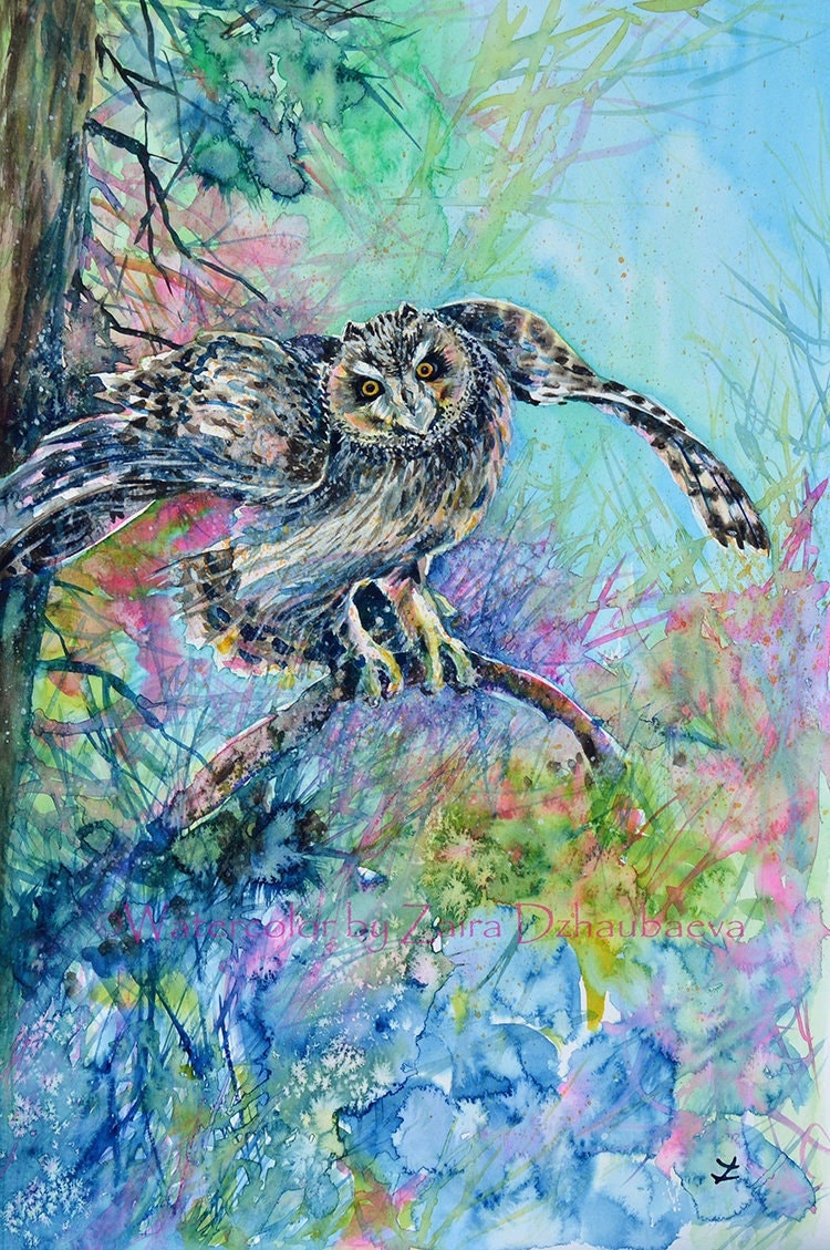 Short Eared Owl Original Watercolor Painting Owl Wall Art Asio flammeus Owl on Tree Colorful Owl Wat