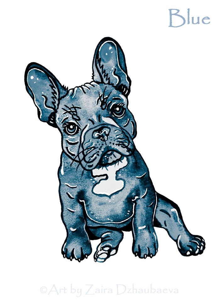 カラフルなフレンチブルドッグのアートプリント かわいいフレンチ