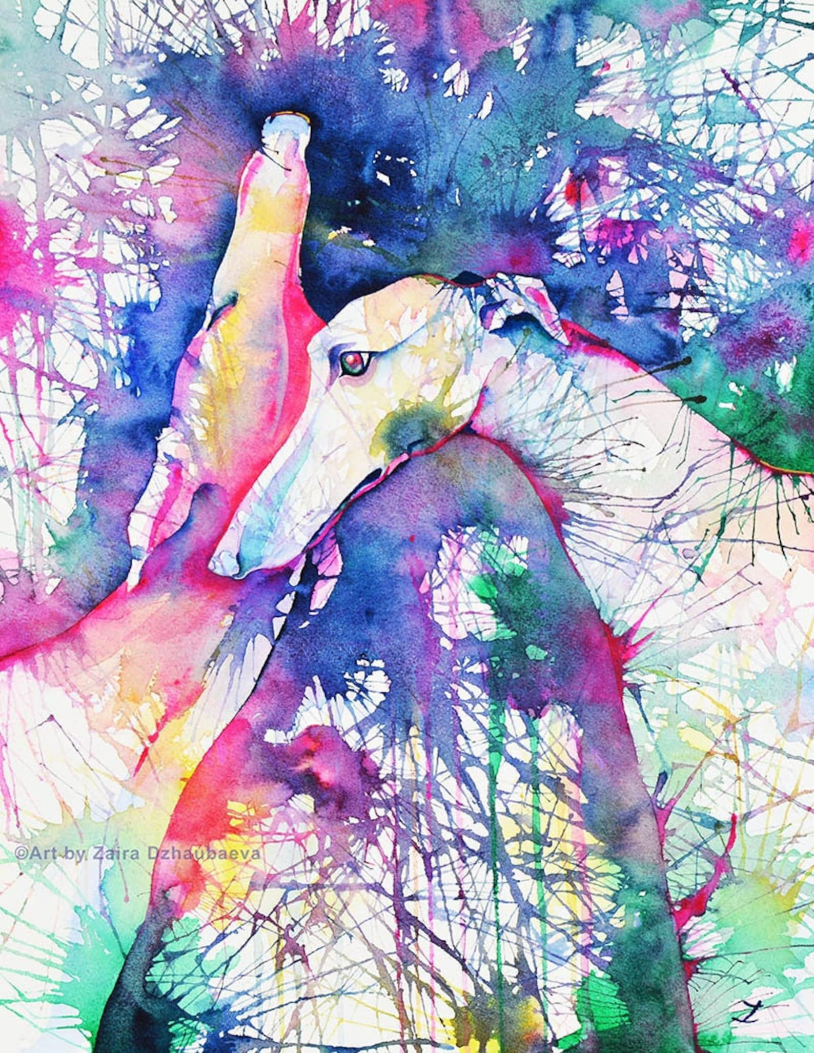 Colorful Greyhounds 8.5 X 11