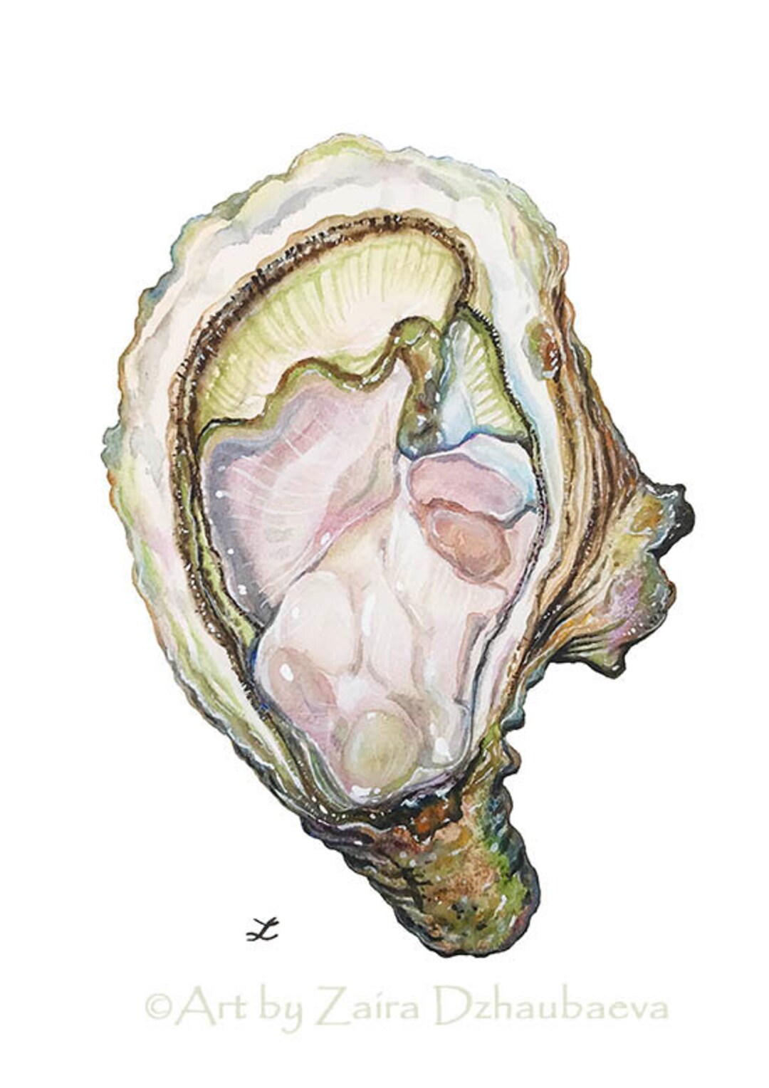 Oyster Original Watercolor Painting Seafood Wall Art Oysters Shellfish ...