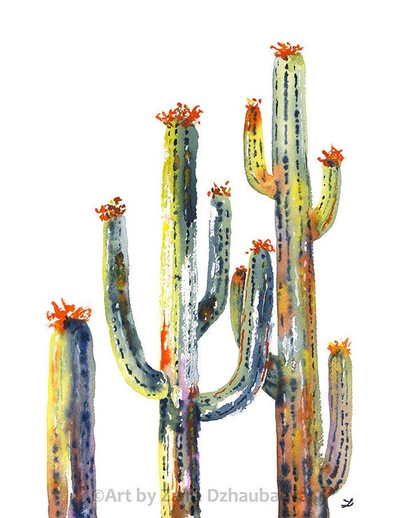 Saguaro Cactuses Art Print Blooming Desert Plants Succulents Sonoran Desert Southwestern Arizona California Mexico Whipple Mountains Cacti