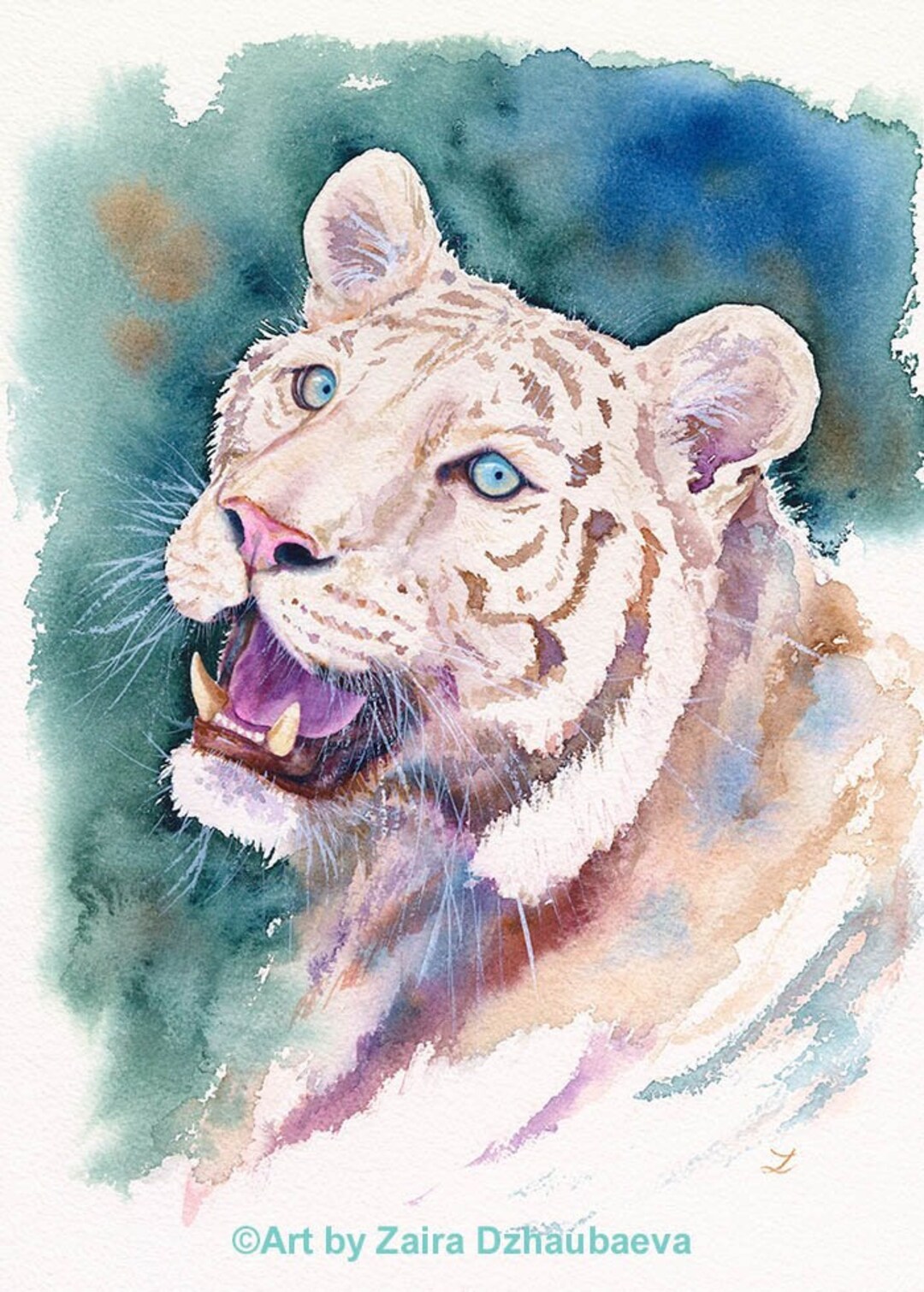 ホワイトタイガー オリジナル水彩画 大型ネコ科動物 漂白されたトラ