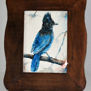 Steller&#39;s Jay Original Framed Watercolor Painting Bird Wildlife Long-crested Jay Bird Mountain Jay Pine Jay Blue Jay Pacific Northwest Birds