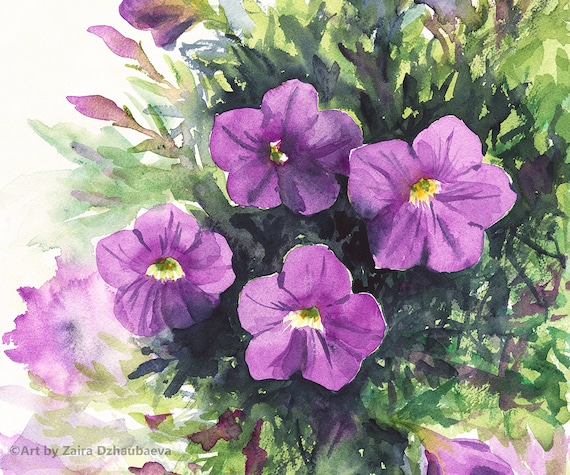 紫のペチュニア オリジナル水彩画 紙に描いた花の壁アート ペチュニア