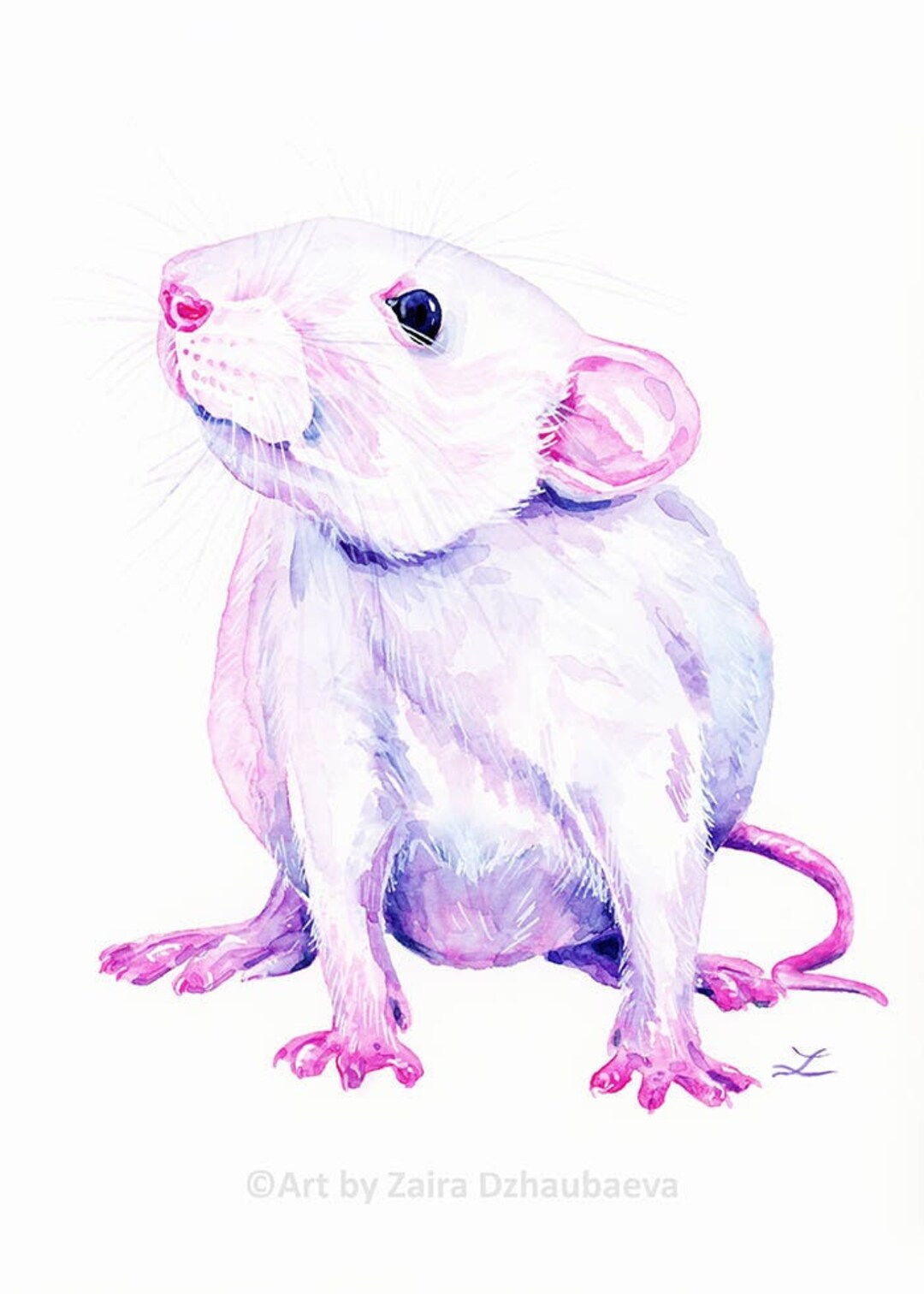White Rat Art Print Cute Rats Watercolor Rat Painting Pets Fancy Rat White Rat Art Print Cute Rats Watercolor Rat Painting Pets Fancy Rat