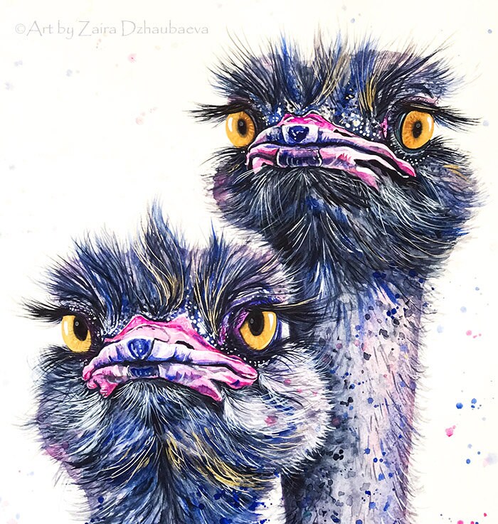 ダチョウの版画(額付き) il_fullxfull.2162996193_m944.jpg