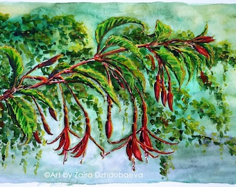 Fuchsia Flowers Red and Green Original Watercolor Painting Floral Summer Botanical Garden Gardening Nature Plants Large Seasonal Fresh Art