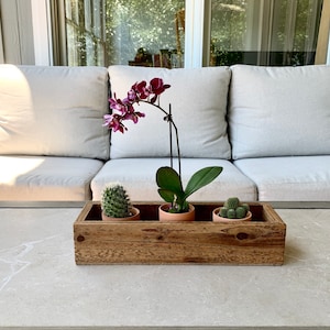 Könnte beinhalten: Ein Holz-Pflanzgefäß mit drei Topfpflanzen. Der Pflanzkasten steht auf einem hellgrauen Tisch. Die Pflanzen umfassen eine rosa Orchidee und zwei kleine Kakteen.