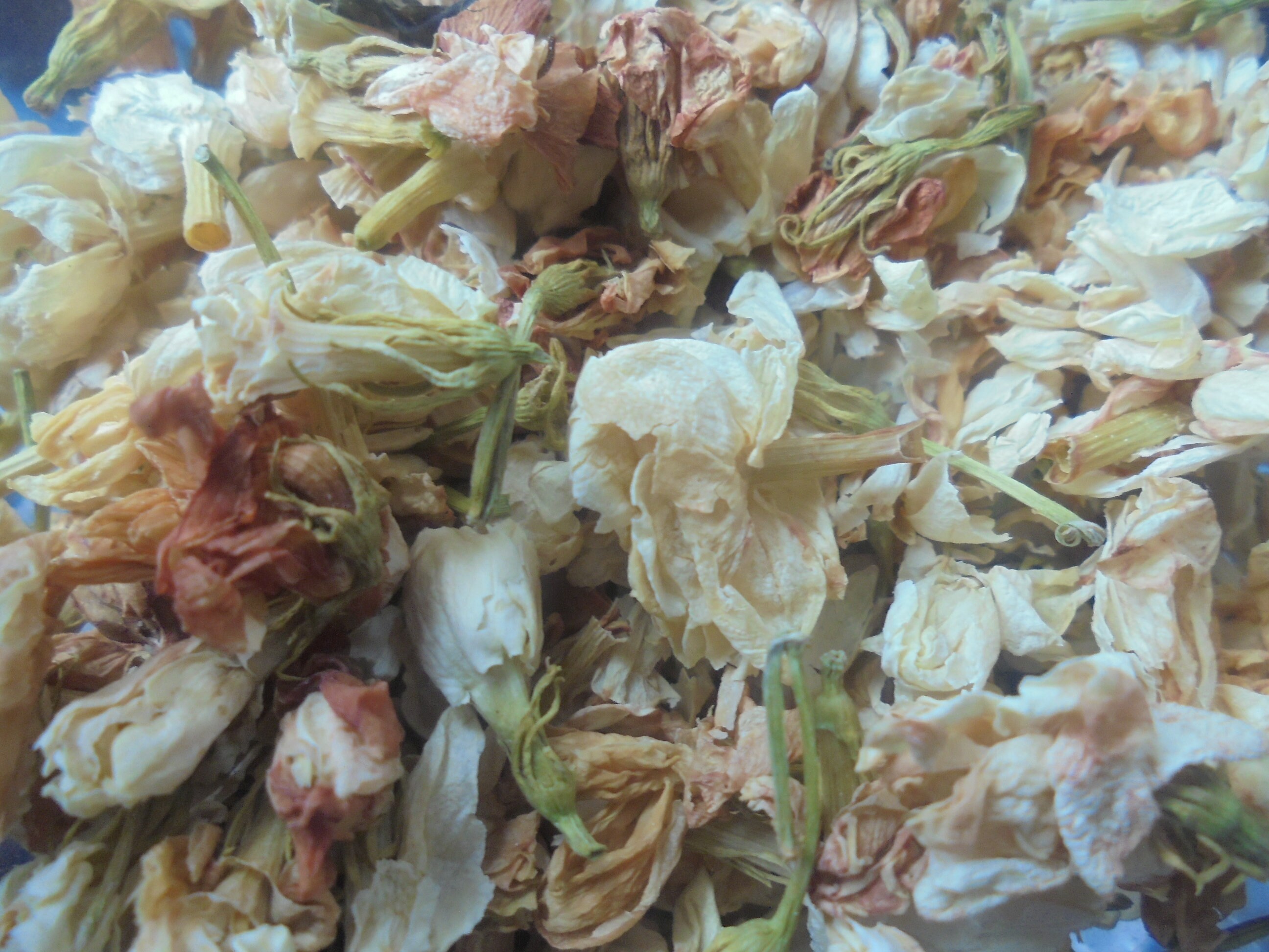 Fleurs de Jasmin, Jasminum Arabicum Sambac, Pour Encens, Rituels, Offrandes, Bougies Votives, Autels