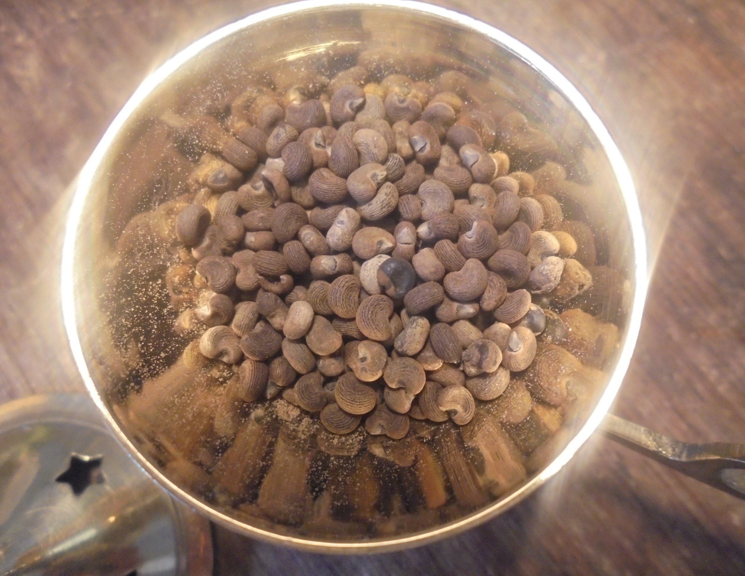 Graines de Musc, 25 G. Pour Encens, Rituels, Offrandes, Bougies Votives, Autels...