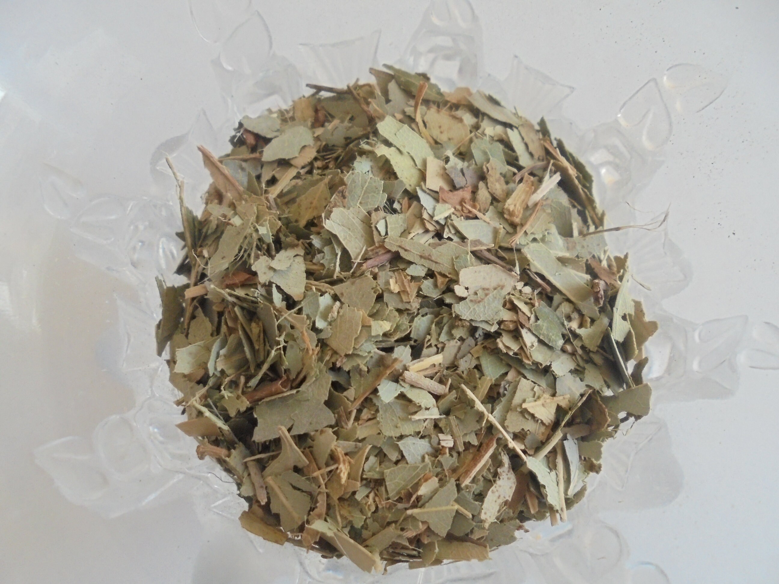 Eucalyptus, 15 G., Pour Encens, Bougies Votives, Autels, Offrandes, Senteurs...