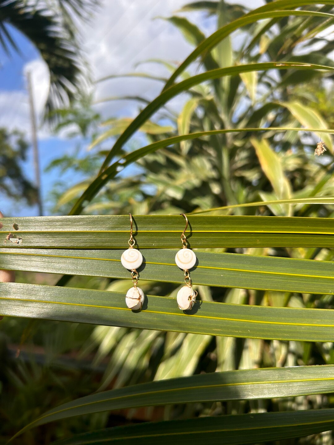 Shiva Eye Shell With Puka Shells Earrings Shell Earrings Etsy