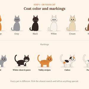 May include: A chart titled STEP 1 OR YOUR CAT Coat colour and markings displaying six cat illustrations in orange, grey, black, white, cream, and brown. Below, five cats show markings: solid, white chest and paws, tabby stripes, calico, and patches.