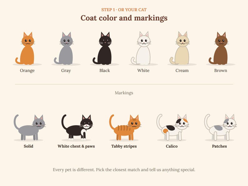 May include: A chart titled STEP 1 OR YOUR CAT Coat colour and markings displaying six cat illustrations in orange, grey, black, white, cream, and brown. Below, five cats show markings: solid, white chest and paws, tabby stripes, calico, and patches.