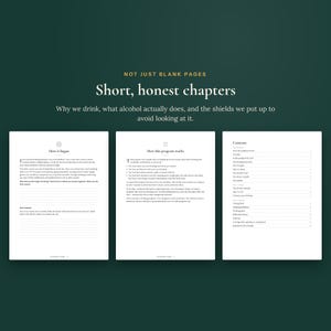 May include: A book titled Not Just Blank Pages featuring short, honest chapters about alcohol consumption. The pages display text sections titled How it began, How this program works, and Contents, with lined spaces for writing personal reflections.