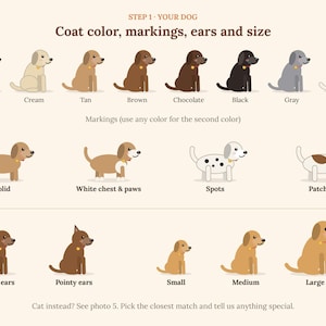 May include: A graphic chart titled STEP 1 YOUR DOG Coat colour, markings, ears and size. It displays rows of illustrated dogs showing various coat colours, patterns like spots and patches, ear shapes, and relative sizes from small to large.