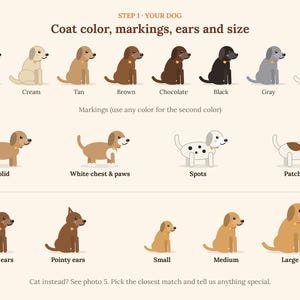 May include: A graphic chart titled STEP 1 YOUR DOG Coat colour, markings, ears and size. It displays rows of illustrated dogs showing various coat colours, patterns like spots and patches, ear shapes, and relative sizes from small to large.