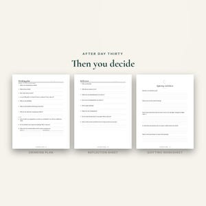 May include: Three white printable sheets titled After Day Thirty Then you decide, featuring a Drinking plan, a Reflection sheet, and a Quitting worksheet. Each page contains black text, numbered questions, and lined spaces for written responses.